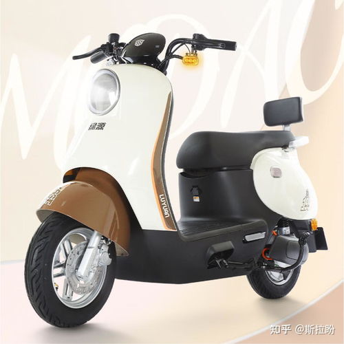 綠源公認(rèn)最好的三款電動(dòng)車